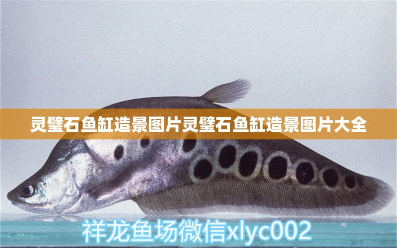 靈璧石魚缸造景圖片靈璧石魚缸造景圖片大全 水溫計