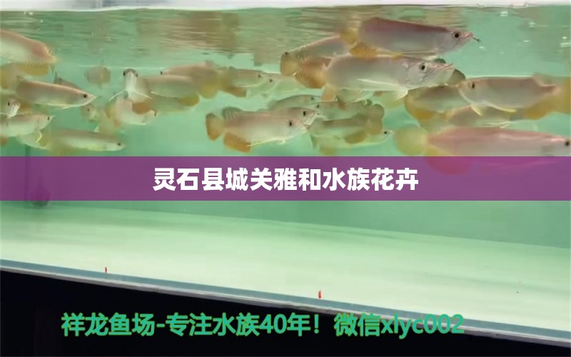 靈石縣城關(guān)雅和水族花卉 全國(guó)水族館企業(yè)名錄