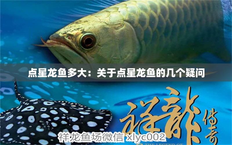 點(diǎn)星龍魚(yú)多大：關(guān)于點(diǎn)星龍魚(yú)的幾個(gè)疑問(wèn) 水族問(wèn)答 第1張