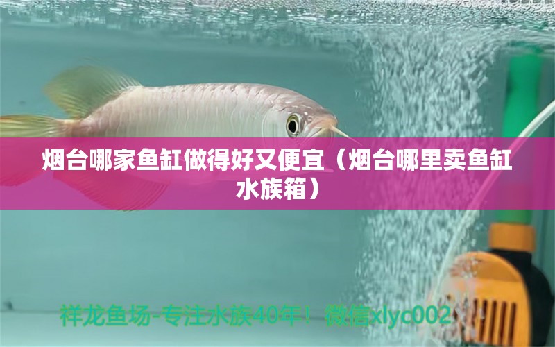 煙臺(tái)哪家魚(yú)缸做得好又便宜（煙臺(tái)哪里賣(mài)魚(yú)缸水族箱） 魚(yú)缸/水族箱