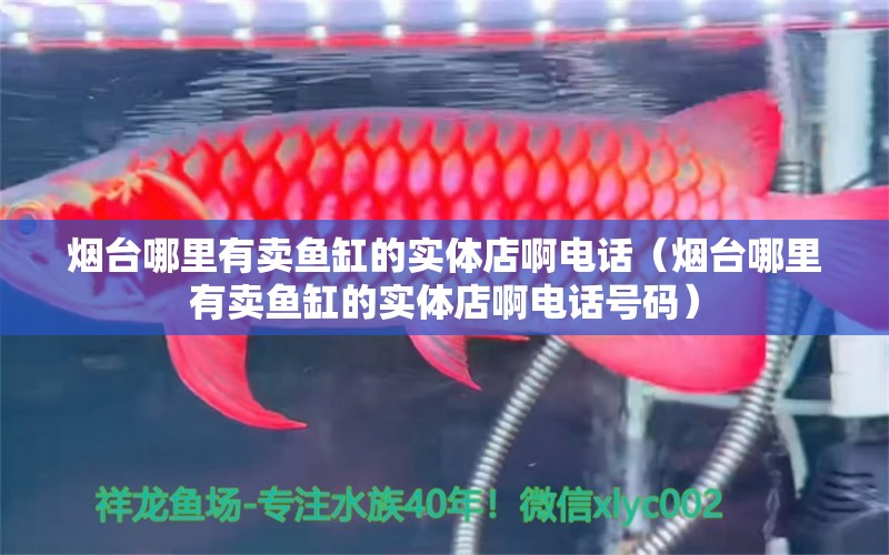 煙臺哪里有賣魚缸的實體店啊電話（煙臺哪里有賣魚缸的實體店啊電話號碼） 觀賞魚市場（混養(yǎng)魚）