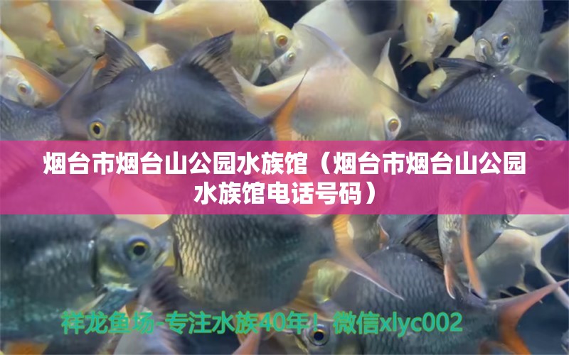 煙臺(tái)市煙臺(tái)山公園水族館（煙臺(tái)市煙臺(tái)山公園水族館電話號(hào)碼）