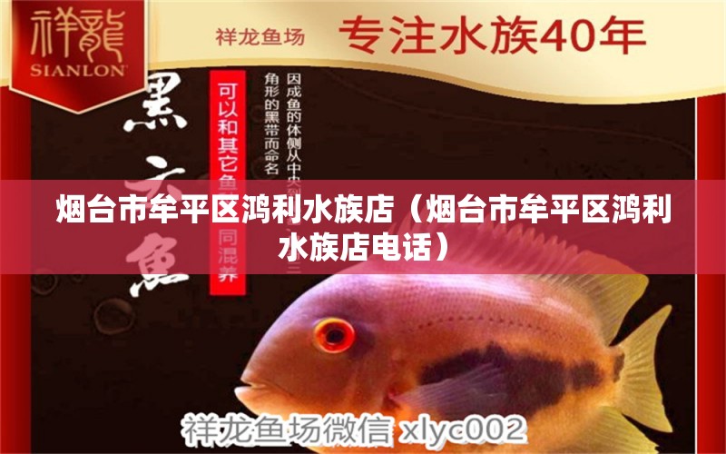 煙臺市牟平區(qū)鴻利水族店（煙臺市牟平區(qū)鴻利水族店電話） 全國水族館企業(yè)名錄