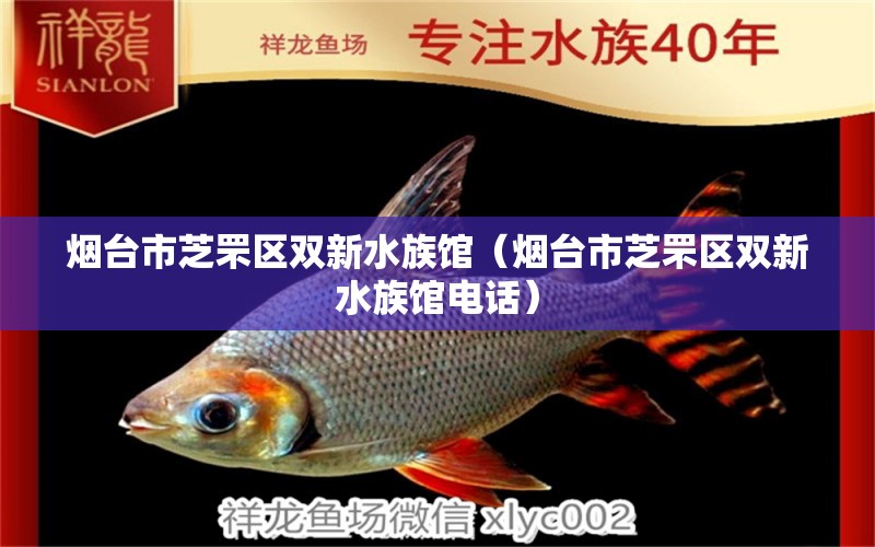 煙臺市芝罘區(qū)雙新水族館（煙臺市芝罘區(qū)雙新水族館電話） 全國水族館企業(yè)名錄