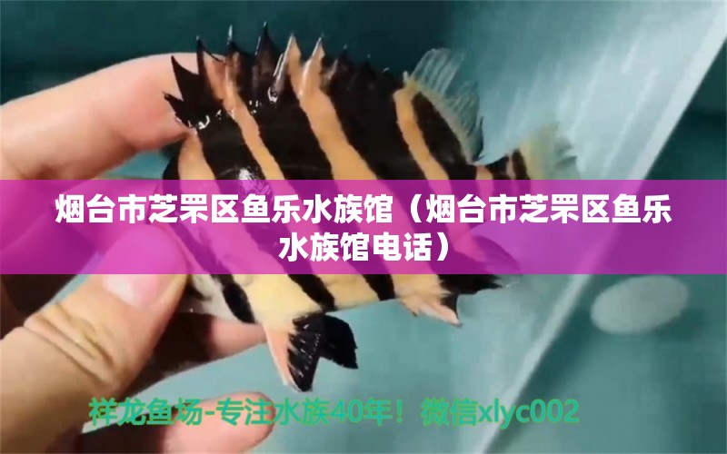 煙臺市芝罘區(qū)魚樂水族館（煙臺市芝罘區(qū)魚樂水族館電話）