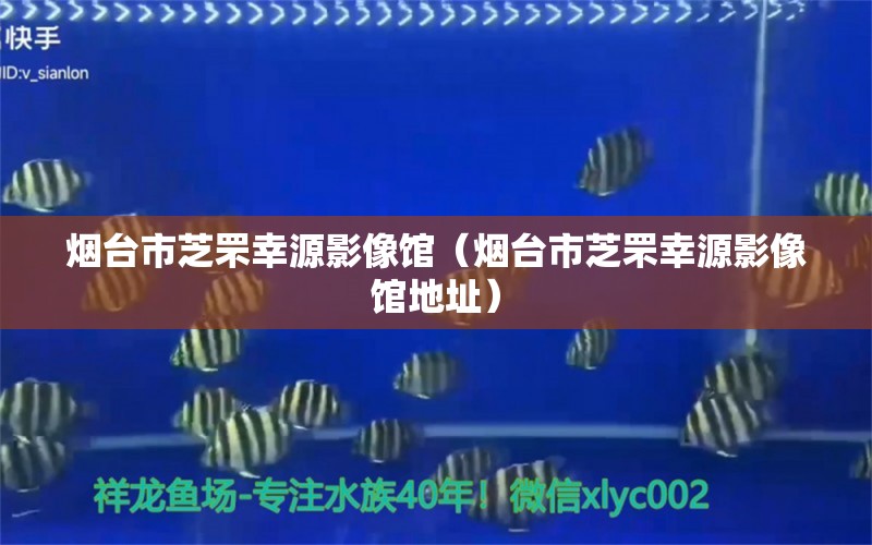 煙臺(tái)市芝罘幸源影像館（煙臺(tái)市芝罘幸源影像館地址）