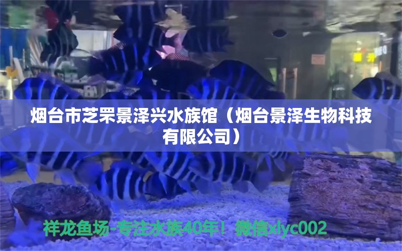 煙臺市芝罘景澤興水族館（煙臺景澤生物科技有限公司）