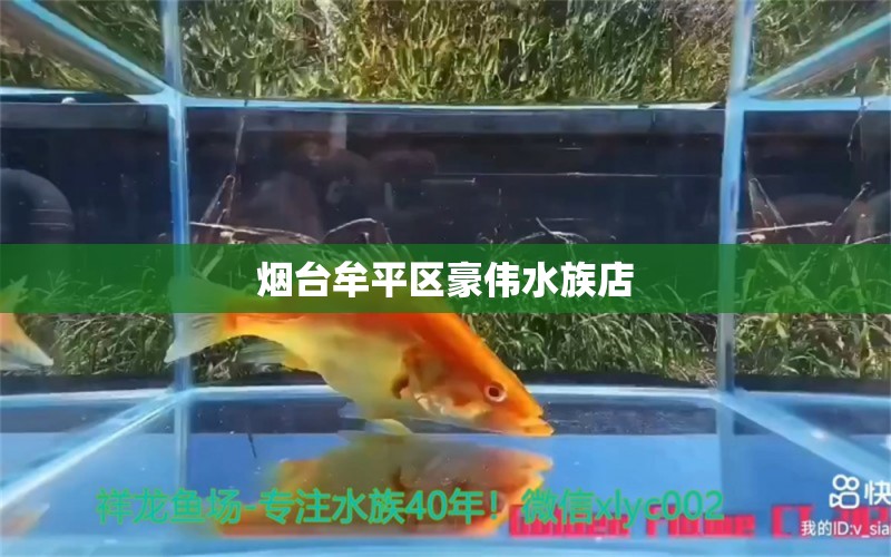 煙臺(tái)牟平區(qū)豪偉水族店 全國水族館企業(yè)名錄