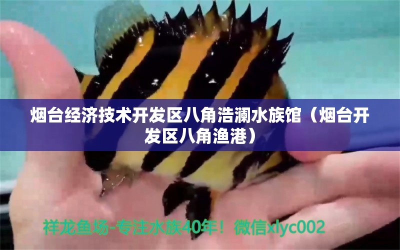 煙臺(tái)經(jīng)濟(jì)技術(shù)開發(fā)區(qū)八角浩瀾水族館（煙臺(tái)開發(fā)區(qū)八角漁港）