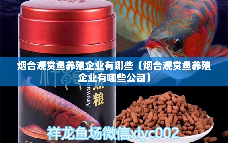 煙臺(tái)觀賞魚養(yǎng)殖企業(yè)有哪些（煙臺(tái)觀賞魚養(yǎng)殖企業(yè)有哪些公司）