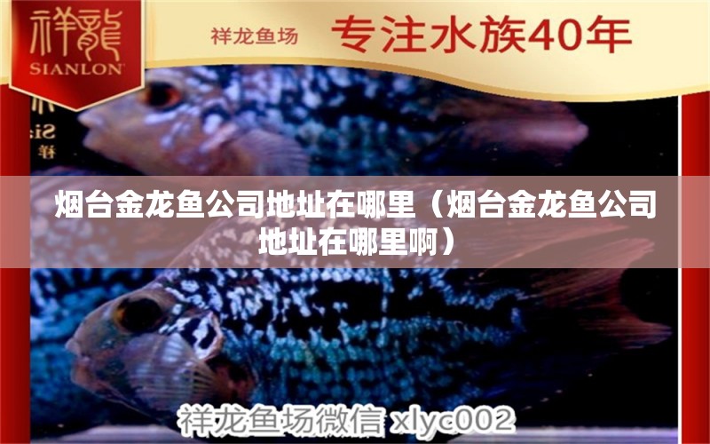 煙臺金龍魚公司地址在哪里（煙臺金龍魚公司地址在哪里?。? title=