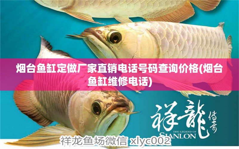 煙臺(tái)魚缸定做廠家直銷電話號(hào)碼查詢價(jià)格(煙臺(tái)魚缸維修電話) 野彩魚 第1張