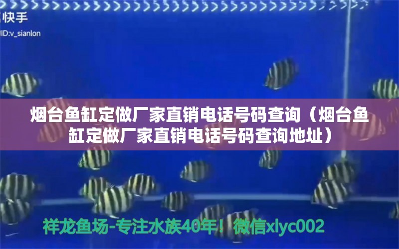 煙臺(tái)魚(yú)缸定做廠家直銷電話號(hào)碼查詢（煙臺(tái)魚(yú)缸定做廠家直銷電話號(hào)碼查詢地址） 祥龍水族醫(yī)院