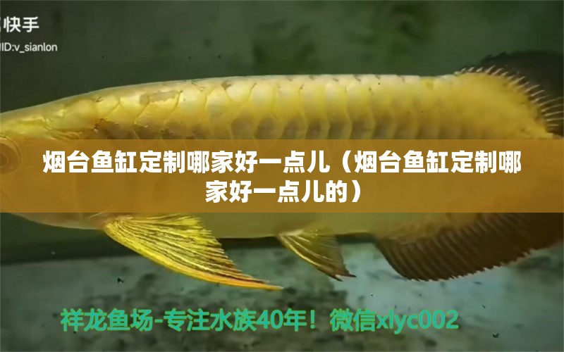 煙臺(tái)魚缸定制哪家好一點(diǎn)兒（煙臺(tái)魚缸定制哪家好一點(diǎn)兒的） 祥龍水族醫(yī)院