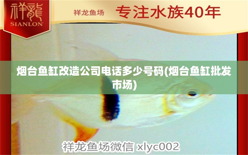 煙臺魚缸改造公司電話多少號碼(煙臺魚缸批發(fā)市場) 殺菌消毒設(shè)備 第1張