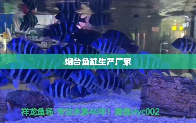 煙臺(tái)魚(yú)缸生產(chǎn)廠家