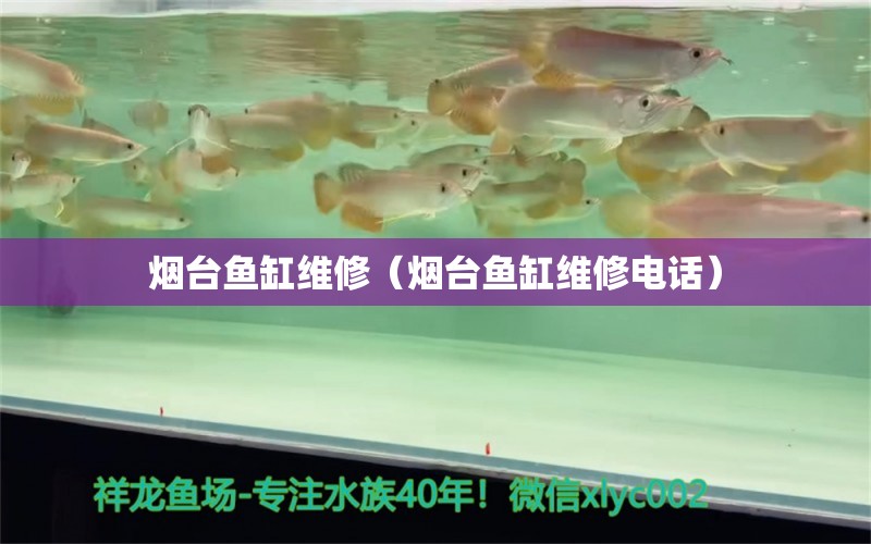 煙臺(tái)魚缸維修（煙臺(tái)魚缸維修電話）