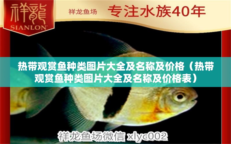 熱帶觀賞魚種類圖片大全及名稱及價(jià)格（熱帶觀賞魚種類圖片大全及名稱及價(jià)格表）