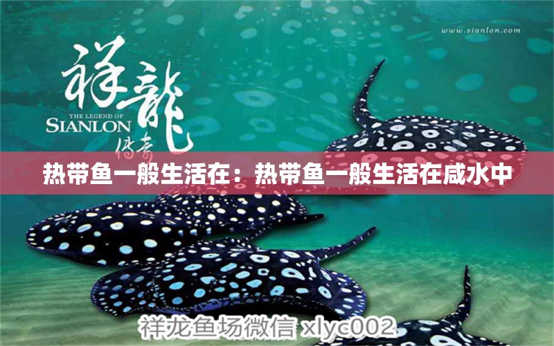 熱帶魚(yú)一般生活在：熱帶魚(yú)一般生活在咸水中 觀賞魚(yú)