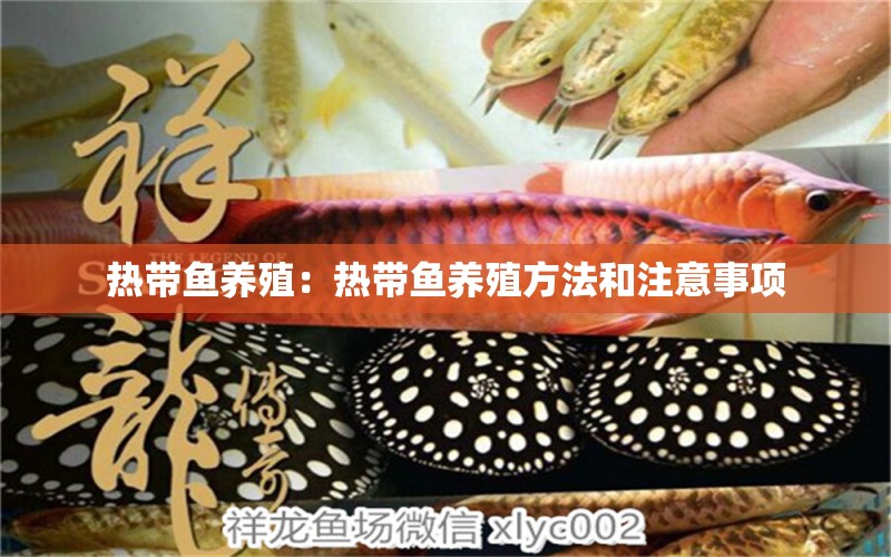 熱帶魚養(yǎng)殖：熱帶魚養(yǎng)殖方法和注意事項(xiàng) 除藻劑