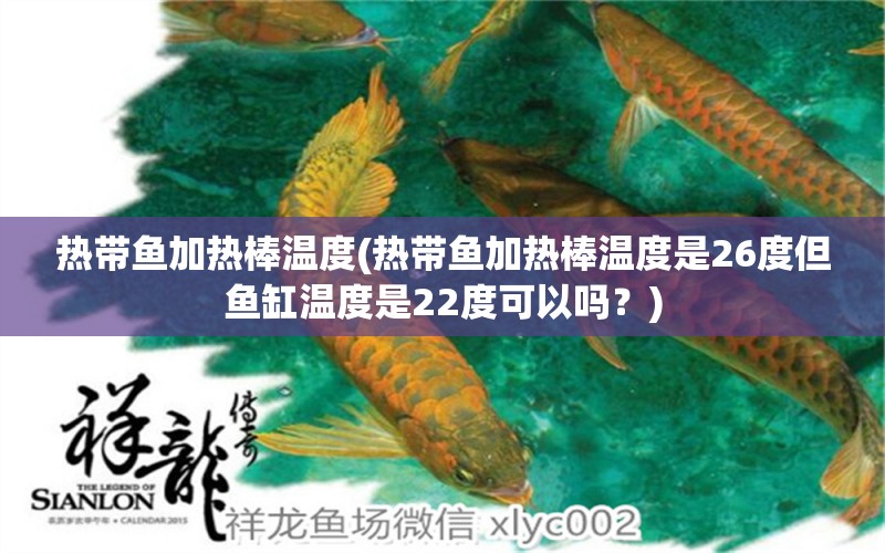 熱帶魚加熱棒溫度(熱帶魚加熱棒溫度是26度但魚缸溫度是22度可以嗎？) 羽毛刀魚苗