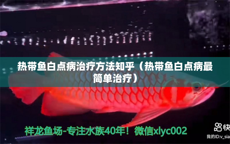 熱帶魚白點病治療方法知乎（熱帶魚白點病最簡單治療） 觀賞魚市場（混養(yǎng)魚）