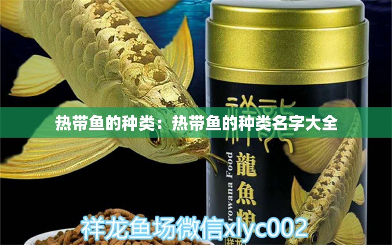 熱帶魚的種類：熱帶魚的種類名字大全