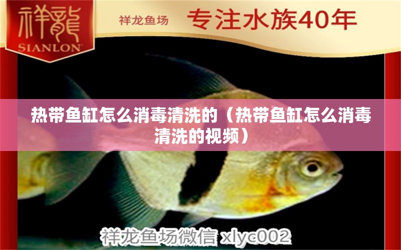 熱帶魚缸怎么消毒清洗的（熱帶魚缸怎么消毒清洗的視頻） 祥龍水族醫(yī)院