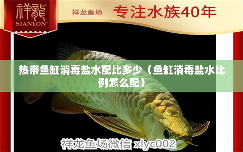 熱帶魚缸消毒鹽水配比多少（魚缸消毒鹽水比例怎么配） 金龍福龍魚 第1張