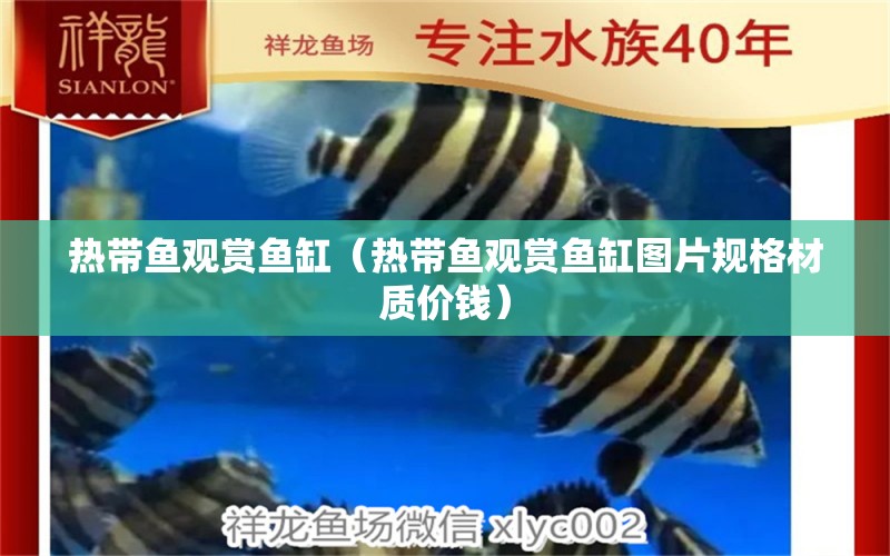 熱帶魚觀賞魚缸（熱帶魚觀賞魚缸圖片規(guī)格材質(zhì)價錢）