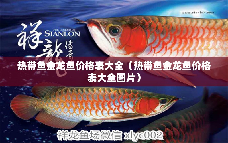 熱帶魚(yú)金龍魚(yú)價(jià)格表大全（熱帶魚(yú)金龍魚(yú)價(jià)格表大全圖片） 廣州龍魚(yú)批發(fā)市場(chǎng)