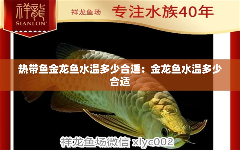 熱帶魚(yú)金龍魚(yú)水溫多少合適：金龍魚(yú)水溫多少合適