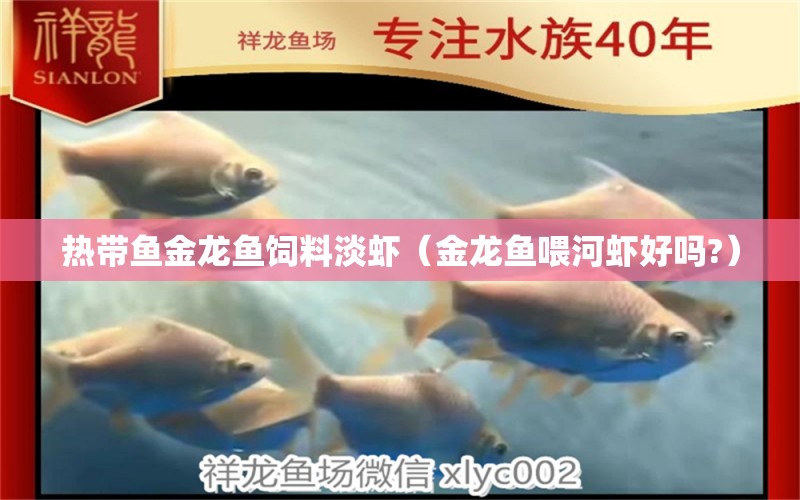 熱帶魚金龍魚飼料淡蝦（金龍魚喂河蝦好嗎?）