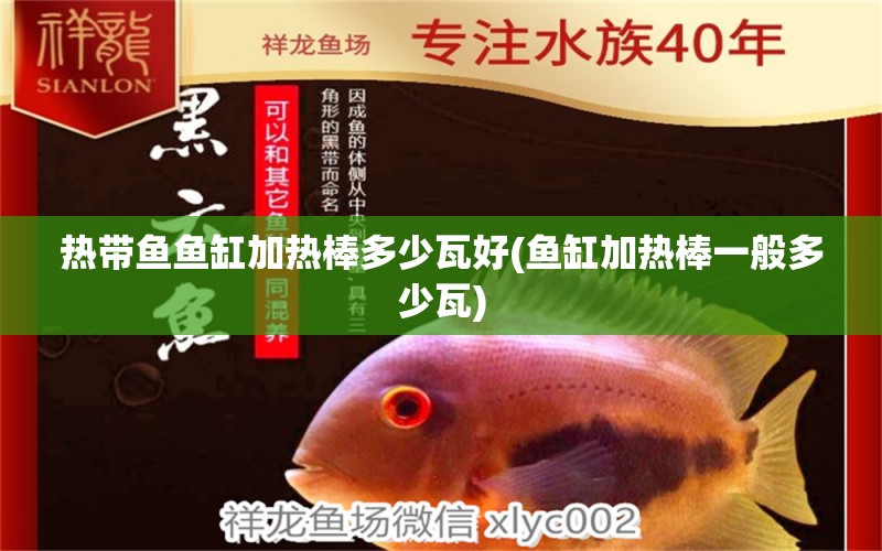 熱帶魚(yú)魚(yú)缸加熱棒多少瓦好(魚(yú)缸加熱棒一般多少瓦) 黃金招財(cái)貓魚(yú)