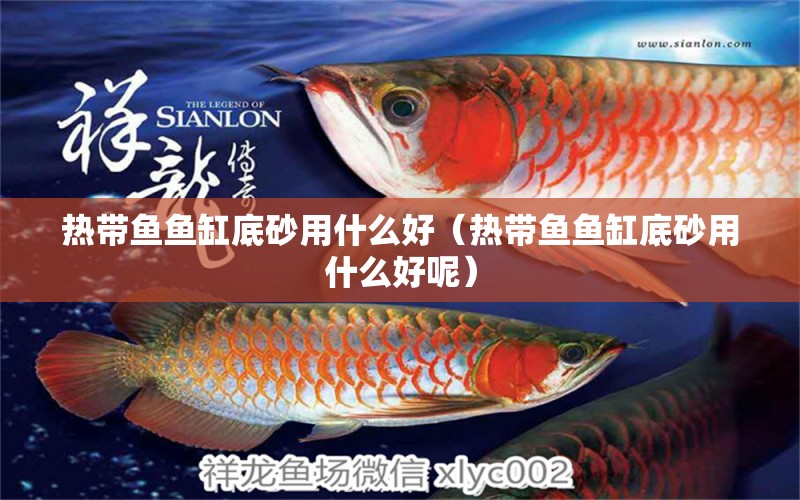 熱帶魚魚缸底砂用什么好（熱帶魚魚缸底砂用什么好呢） 祥龍水族醫(yī)院