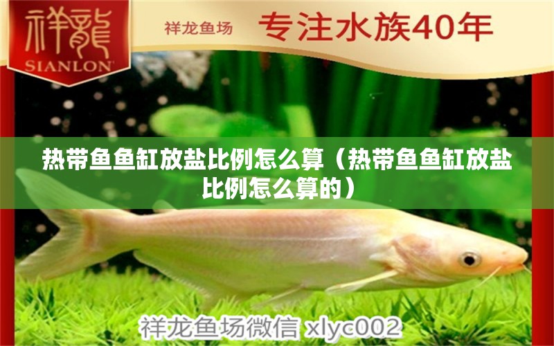 熱帶魚(yú)魚(yú)缸放鹽比例怎么算（熱帶魚(yú)魚(yú)缸放鹽比例怎么算的） 祥龍進(jìn)口元寶鳳凰魚(yú)