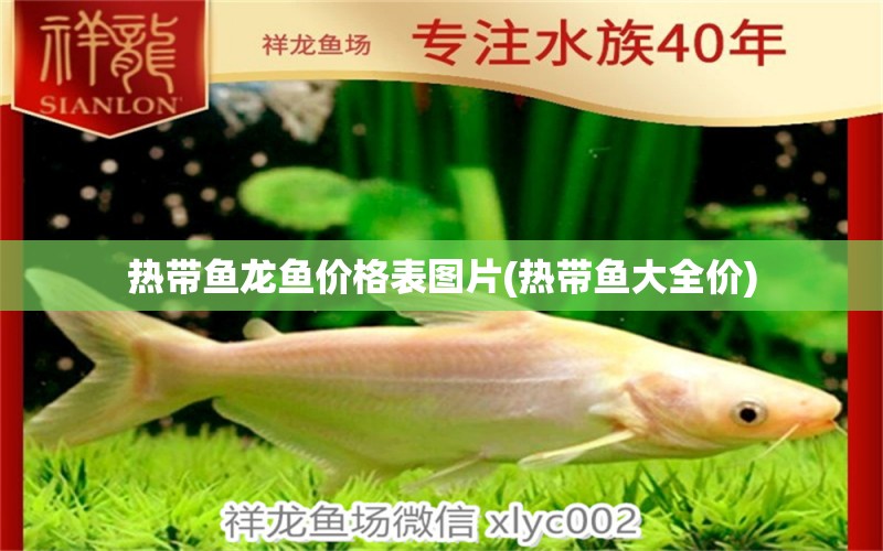 熱帶魚龍魚價(jià)格表圖片(熱帶魚大全價(jià))