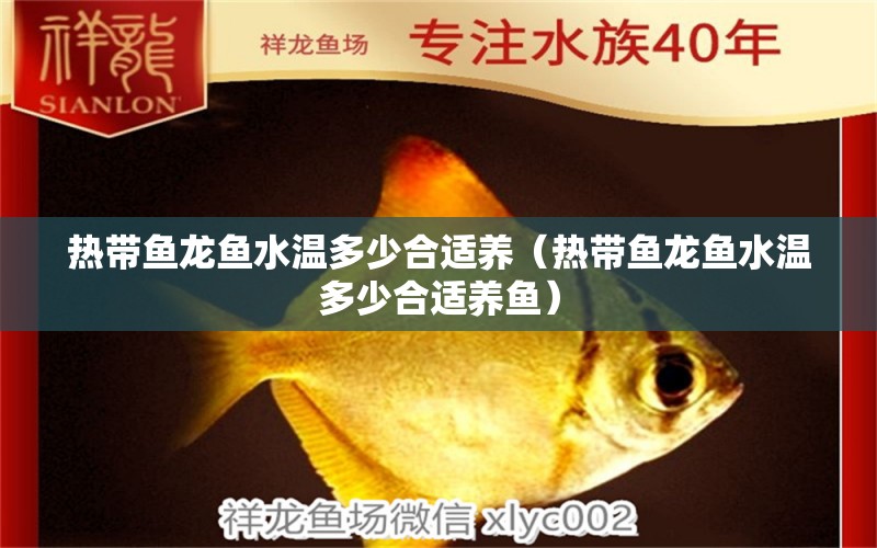 熱帶魚龍魚水溫多少合適養(yǎng)（熱帶魚龍魚水溫多少合適養(yǎng)魚） 觀賞魚批發(fā)