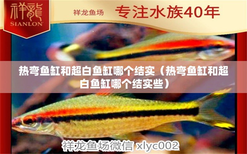 熱彎魚缸和超白魚缸哪個結實（熱彎魚缸和超白魚缸哪個結實些）