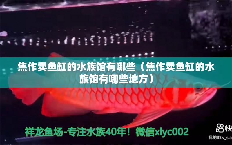 焦作賣魚缸的水族館有哪些（焦作賣魚缸的水族館有哪些地方） 其他品牌魚缸