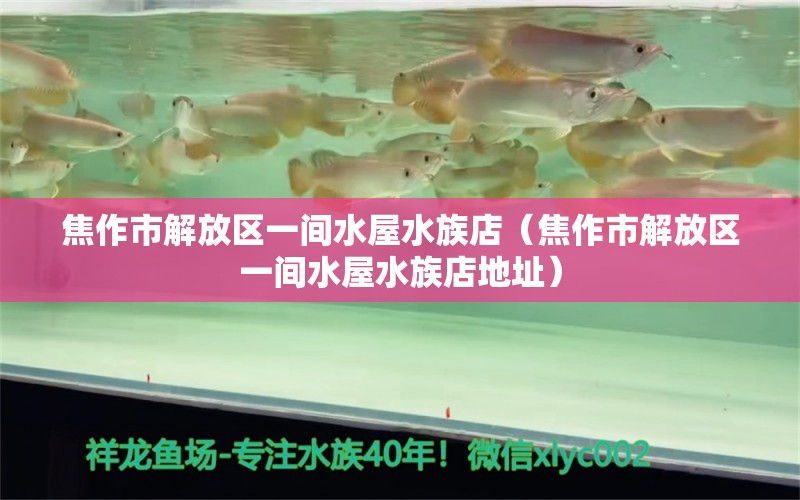 焦作市解放區(qū)一間水屋水族店（焦作市解放區(qū)一間水屋水族店地址） 全國水族館企業(yè)名錄