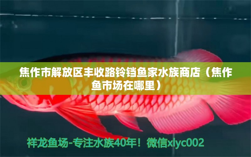 焦作市解放區(qū)豐收路鈴鐺魚家水族商店（焦作魚市場在哪里）