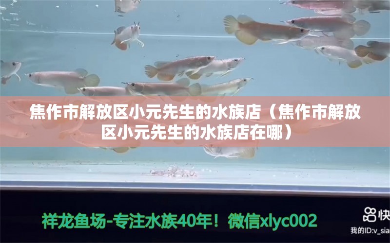 焦作市解放區(qū)小元先生的水族店（焦作市解放區(qū)小元先生的水族店在哪）