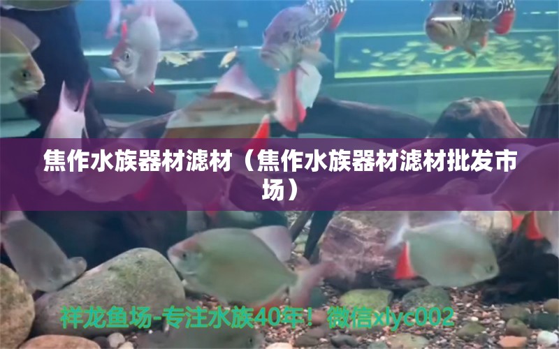 焦作水族器材濾材（焦作水族器材濾材批發(fā)市場(chǎng)）