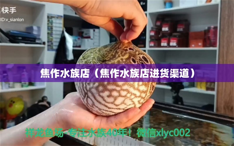 焦作水族店（焦作水族店進貨渠道） 觀賞魚市場