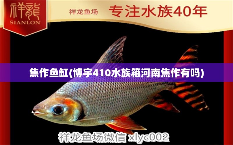 焦作魚缸(博宇410水族箱河南焦作有嗎)