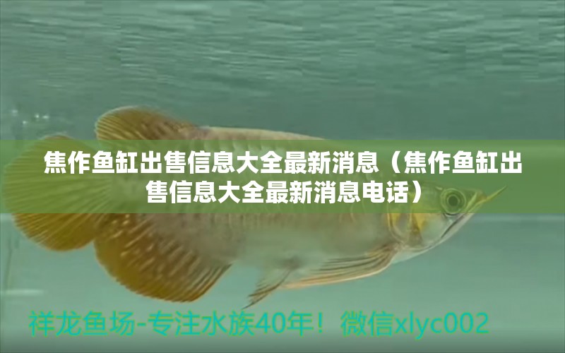 焦作魚缸出售信息大全最新消息（焦作魚缸出售信息大全最新消息電話）