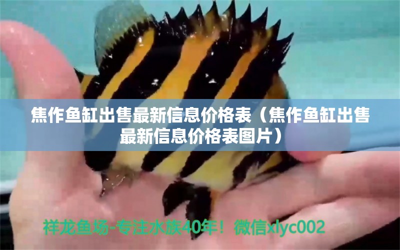 焦作魚缸出售最新信息價格表（焦作魚缸出售最新信息價格表圖片） 巴西亞魚