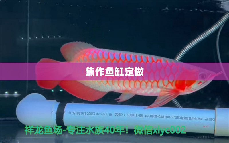 焦作魚缸定做