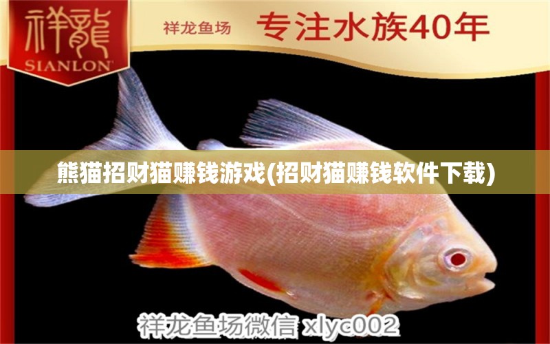 熊貓招財貓賺錢游戲(招財貓賺錢軟件下載) 白條過背金龍魚